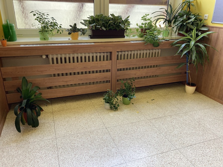 Veřejné prostory a školy - foto 24